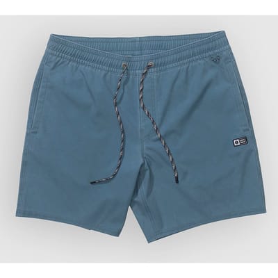 Salty Crew Seadog Volley Boardshorts zwart