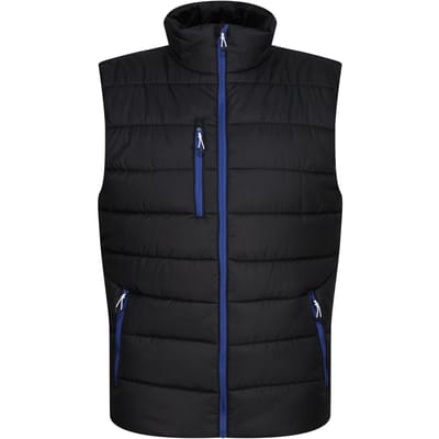 Regatta Thermische bodywarmer Navigate voor heren (Zwart/Nieuw Royal)