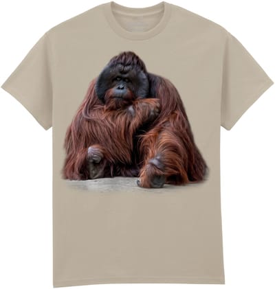 Orangoetan Wisdom Beyond Words - Orangutan The Coloured House T-shirt M