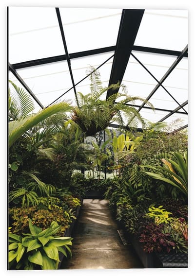 Dibond - Planten in Glazen Gebouw - 40x60cm Foto op Aluminium (Met Ophangsysteem)