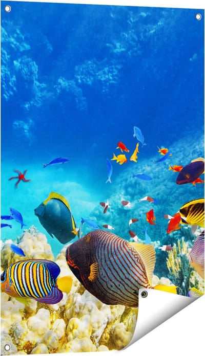 Gards Tuinposter Vissen in de Oceaan met Koralen - 60x90 cm - Tuindoek - Tuindecoratie - Wanddecoratie buiten - Tuinschilderij