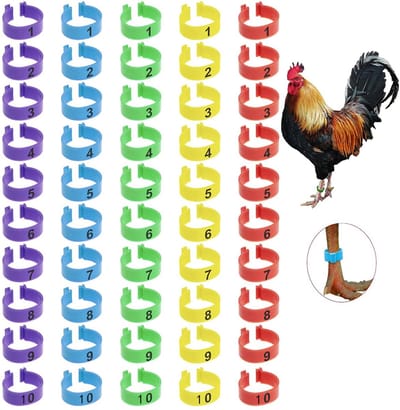 Dailygoods- Kippenpootringen 50 stuks - Clip-on pootringen - Kippenidentificatie - Kunststof - Meerdere kleuren - 16 mm - Pluimveebeenringen