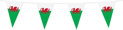 Wefiesta - Vlaggenlijn Wales 20 x 30 cm (10 meter)