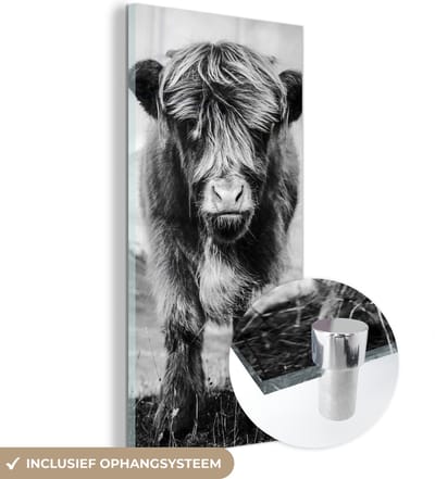 MuchoWow® Glasschilderij 20x40 cm - Schilderij acrylglas - Schotse Hooglander - Berg - Zwart - Wit - Foto op glas - Schilderijen