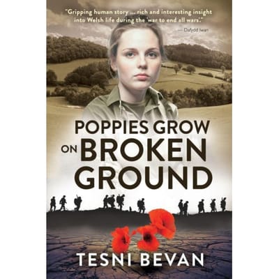 Poppies Grow On Broken Ground - Tesni Bevan