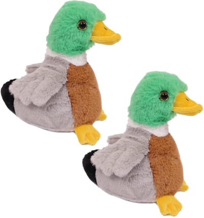 Pia Soft Toys Knuffeldier Wilde Eend - 2x - zachte pluche stof - kleurenmix - kwaliteit knuffels - 16 cm - Eenden - Vogels