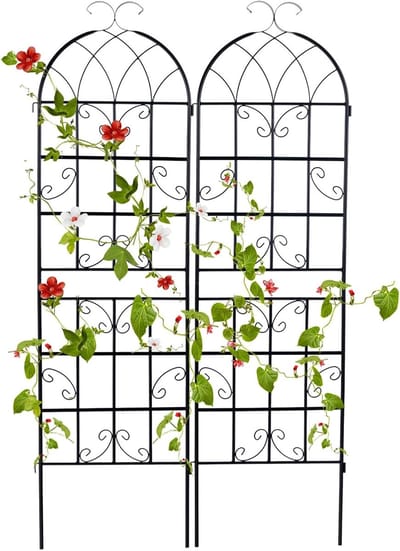 KOMFOTTEU Rankrooster metaal set van 2 stuks, inkijkbescherming tuin 180cm hoog, rozentraliewerk, rozenrooster, plantenrooster, ranknet, rankhulp (180 x 50 cm, zwart, 2 stuks)
