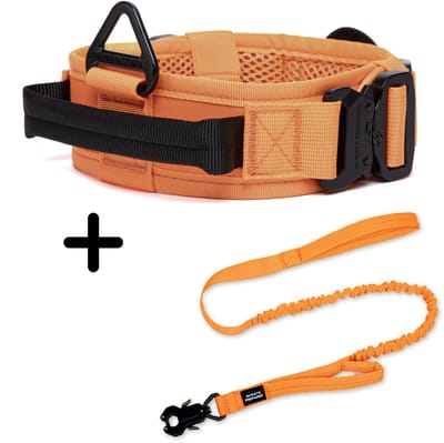 Always Prepared® Pro Combi Deal - Halsband + Riem - Set voor Middel en Grote Honden - Oranje