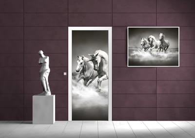 Unicorns Horses Black White Photo Wallcovering