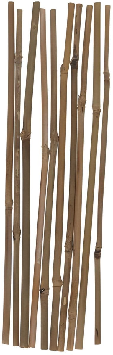 Gerimport Plantenstokken - 10x stuks - bamboe - 30 cm - plantensteun / tonkinstokken