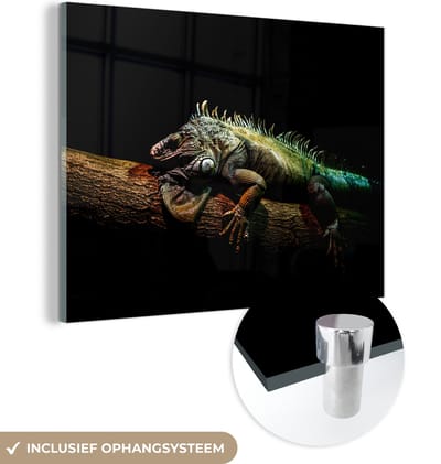 MuchoWow® Glasschilderij 160x120 cm - Schilderij acrylglas - Dier - Tak - Zwart - Foto op glas - Schilderijen