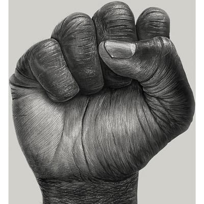 Diamant Schilderij  We're Strength Fist  Dierlijke Diamant Borduurwerk Kruissteek Naaldwerk 20X30CM gray