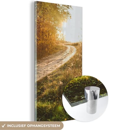 MuchoWow® Glasschilderij 20x40 cm - Schilderij acrylglas - Pad - Natuur - Boom - Foto op glas - Schilderijen