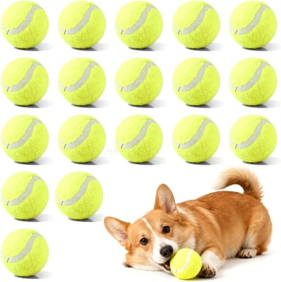 Tennisballen Set van 18 Stuks voor Honden en Beginners - Mini Tennisballen voor Training, Spellen en Speelplezier