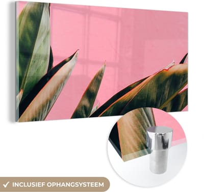 MuchoWow® Glasschilderij 40x20 cm - Schilderij acrylglas - Planten - Bladeren - Vrouwentong - Roze - Tropisch - Foto op glas - Schilderijen