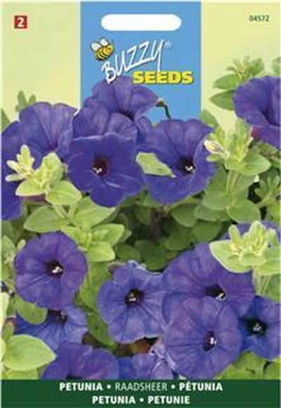 Petunia Raadsheer blauw - Petunia nana compacta