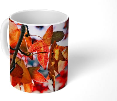 Mok - Koffiemok - Esdoorn - Bladeren - Landelijk - Herfst - Mokken - 350 ML - Beker - Koffiemokken - Theemok