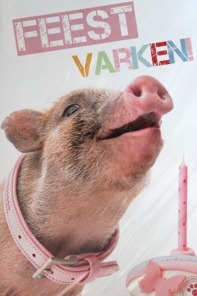 Luxe Wenskaart Verjaardag - Hartelijk Gefeliciteerd - By Myrna - Feestvarken - Varken Big - 14,5x21cm - Dubbele Kaart - Met Envelop - Luxe Kaart - Greeting Card - 1 Stuks - In Folie Verpakt - Birthday - Geburtstag - Anniversaire - Gratis Verzonden