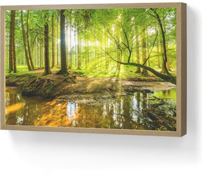 Wandlamp 60x40 cm - Oplaadbaar - Bos - Landschap - Water - Bomen - Zon - Groen - Natuur - Wandlampen binnen woonkamer - Slaapkamer lamp - Decoratieve nachtlamp - Vloerlamp draadloos