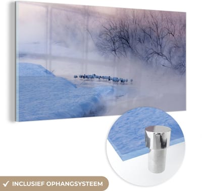 MuchoWow® Glasschilderij 120x60 cm - Schilderij acrylglas - Vogel - Mist - Rivier - Winter - IJs - Foto op glas - Schilderijen