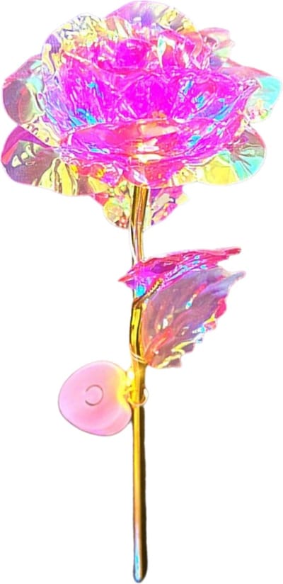 Bovista Gouden Roos 24k - Valentijn Cadeautje Voor Haar & Hem - Cadeautje Vrouw - Roze
