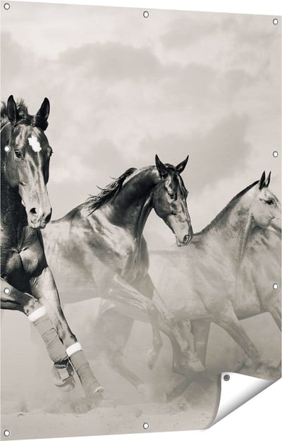Gards Tuinposter Vier Paarden naast Elkaar - Zwart Wit - 90x120 cm - Tuindoek - Tuindecoratie - Wanddecoratie buiten - Tuinschilderij