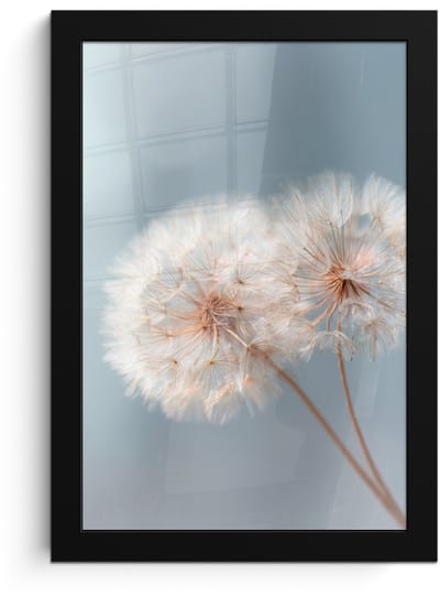 Poster in lijst - Fotolijst 20x30 cm - Posters - Paardenbloemen - Pluisjes - Wit - Posterlijst zwart - Decoratie - Wanddecoratie woonkamer - Muurdecoratie slaapkamer