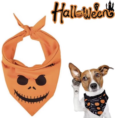 SilverAndCoco® - Halloween Sjaal Hond Versiering met Gratis Sleutelhanger | Sjaaltje Hondje Dog Decoratie Pakket Bandana Honden | Hondensjaaltje Verkleed Set Kostuum Huisdier Trick or Treat Kat