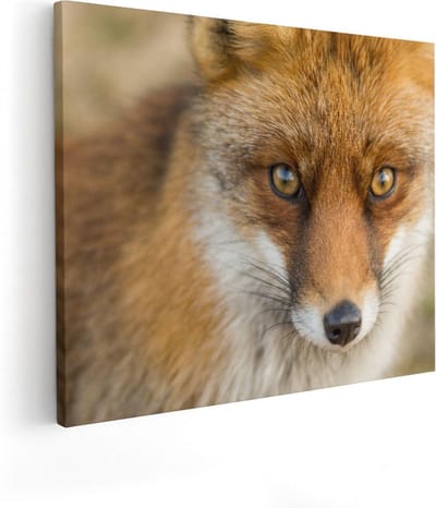 Artaza Canvas Schilderij Vos Close-Up - 50x40 cm - Wanddecoratie Dierenhoofd - Muurdecoratie Woonkamer - Kamer Accessoires