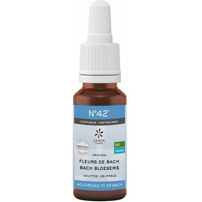 Bachbloesem Bio N°42 Druppels Zelfvertrouwen 20ml
