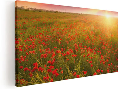 Artaza Canvas Schilderij Klaprozen - 40x20 cm - Klein - Wanddecoratie Bloemen - Muurdecoratie Zonsondergang - Schilderijen Op Canvas Natuur