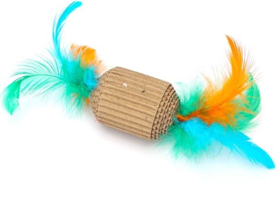 Nobleza Kattenspeelgoed - Kartonnen Speeltje met Veren - Speelgoed voor Katten en Kittens - Cilinder - 15 cm