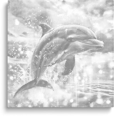 Dolfijn | Dot painting | 50x50cm  Meest gekozen | Dot painting | Oh My Dotz | Dots stippen | Diamond painting & Schilderen op nummer alternatief | Happy hobby