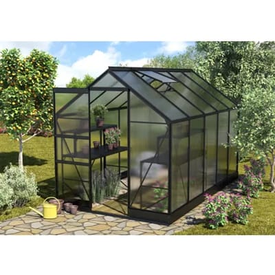 Vitavia Tuinkas Apollo 6200 - Polycarbonaat 4mm - Zwart - 195x323x207cm