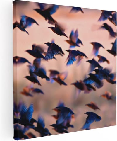 Artaza Canvas Schilderij Vogels - 80x80 cm - Wanddecoratie Vogelzwerm - Muurdecoratie Natuur - Schilderijen Op Canvas