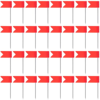 Dailygoods- Vlaggennaalden 50 Stuks - Kaartmarkeringen - Steekspelden - Decoratieve Punaises - Herkenbare Vlaggen - Ergonomisch Ontwerp - Prikspelden