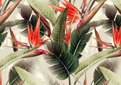 Fotobehang BirdParadiseOrange DD120242 A.S. Création Cuba Groen Oranje Terracotta Vlies 280 x 400 cm (4 Teile) 3D Fotobehang