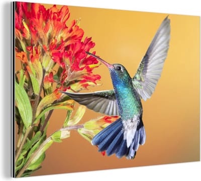 Aluminium schilderij 180x120 cm - Wanddecoratie metaal - Vogel - Kolibrie - Bloemen - Metalen muurdecoratie woonkamer - Decoratie industrieel - Foto op dibond - Industriële accessoires slaapkamer