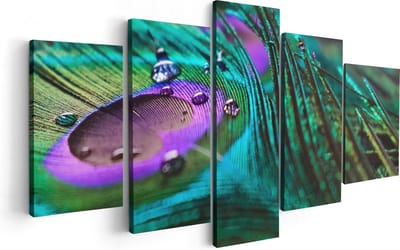 Artaza Canvas Schilderij Vijfluik Kleurrijke Pauw Veer Met Waterdruppels  - 100x50 - Foto Op Canvas - Canvas Print