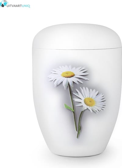 Eco urn wit madelief - bio (biologisch afbreekbaar)