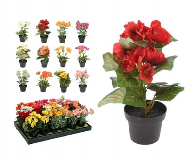 Koopman - Sierkunstbloemen in Pot - Mix Kleuren - 22x11x11 cm