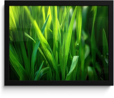Poster in lijst - Fotolijst 40x30 cm - Posters - Grassprieten - Lichtinval - Groen - Posterlijst zwart - Decoratie - Wanddecoratie woonkamer - Muurdecoratie slaapkamer