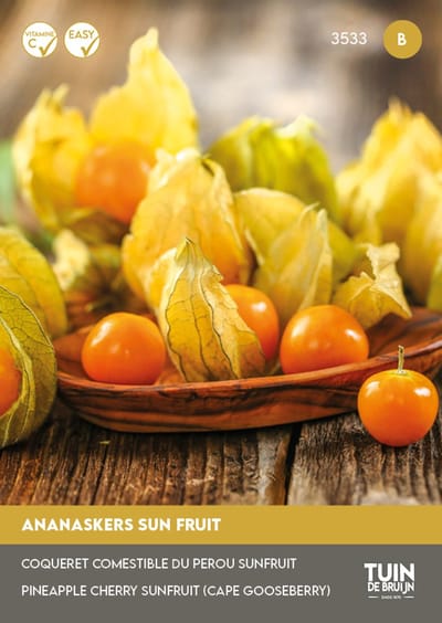 Ananaskers Zaden – Kaapse Kruisbes / Physalis – Zoete Exotische Vruchten – ±300 Zaden – Voor Kas & Tuin – Tuin de Bruijn