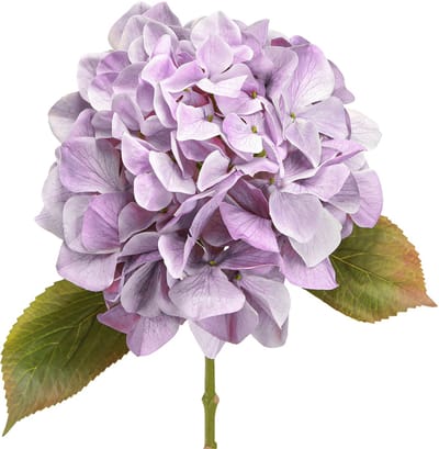 Decoratie Hortensia's Kunstbloemen Paarse Bloesem Ø18cm 69cm 2st