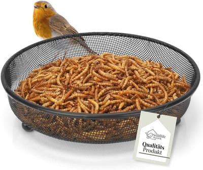Voederschaal voor Vogels Ø 18 cm - Bodemvoerplaats en Dispenser voor Wilde Vogels