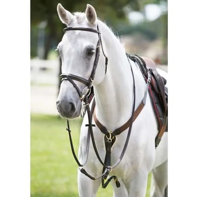 Elastische jachthalsband voor paarden met martingaal Tattini
