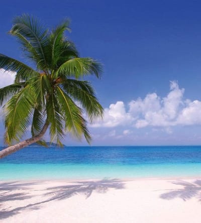 Fotobehang - Beach 225x250cm - Vliesbehang