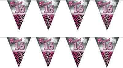 Sweet 16 Sixteen vlaggenlijn slinger - 2x - plastic - 10 meter - versiering - roze/zilver - feestartikelen