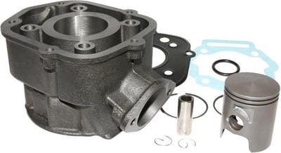 cilinder p2r voor motorfiets aprilia 50 rs 2006 tot 2020 nieuw