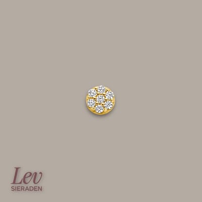 Lev Sieraden - 14 karaat Geelgouden Labret - 1.0 x 8 mm met 7 Zirkonia steentjes - Piercing - labret piercing - neuspiercing staafje - tragus piercing - Monroe piercing - Oorpiercing - helix